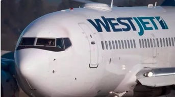 錢包在哭泣 加航 西捷行李托運費猛漲 托運費最低 30起